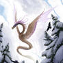 Season dragons: The clouds