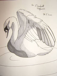 swan for liz.