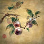 Plum tree