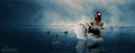 Daybreak on Swan Lake by Selunia