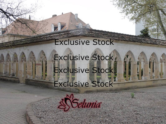 Exclusive Stock :: Gothic Windows