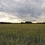 Field with Clouds 03 :: Stock