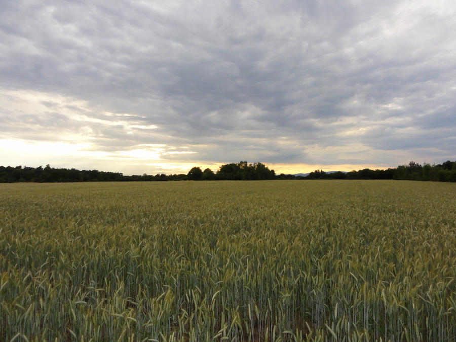 Field with Clouds 03 :: Stock by Selunia