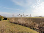 Field 02 :: Stock