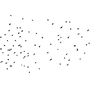 Birds 05 :: PNG Stock