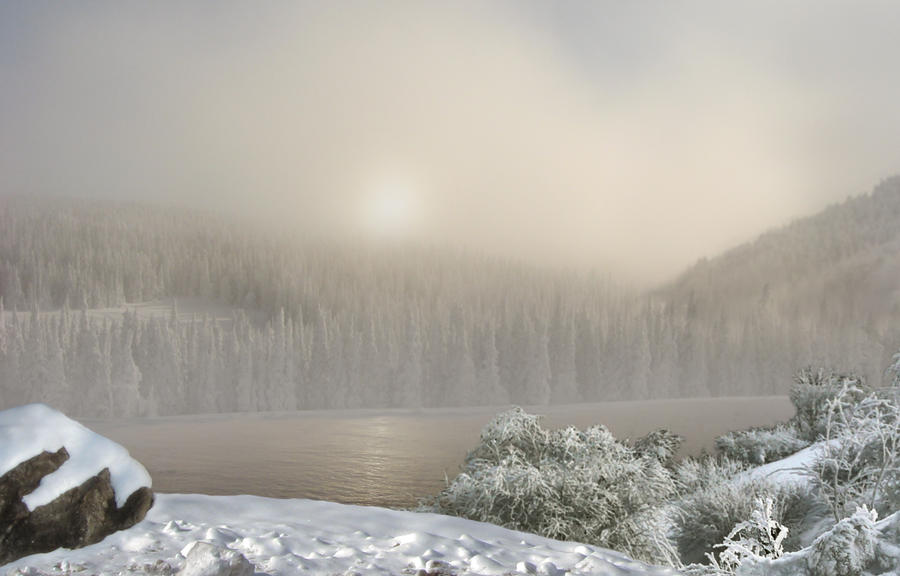 Winter Premade Background