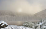 Winter Premade Background