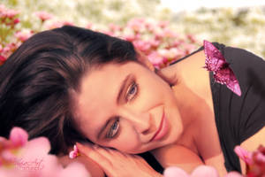 Daydream