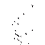 Birds 06 :: PNG Stock