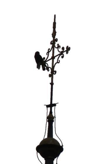 Crows on Cross 01 :: PNG Stock