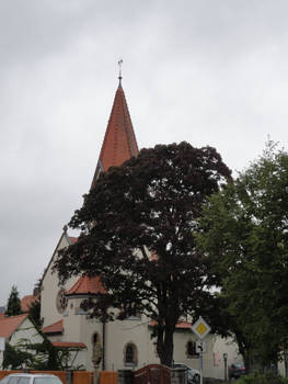 crows on Chruch top cross 03 :: Full picture