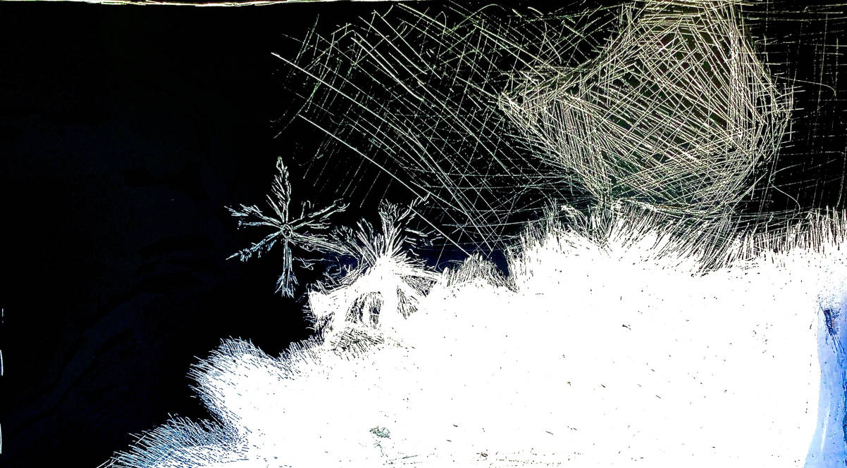 Snow (scratch board) by Nopane on DeviantArt