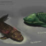 Prehistoric Fish/Amphibian Studies