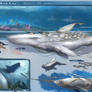 Beneath The Waves Cetan cetaceans