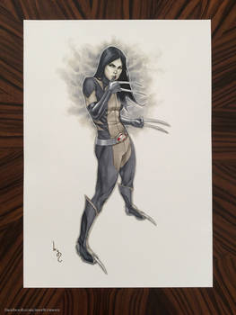 X-23