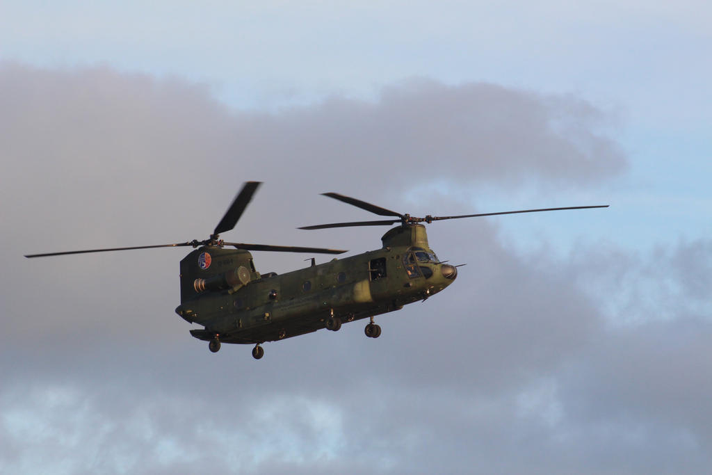 Chinook Rnlaf RNLAF Chinook D-664 by damenster on DeviantArt