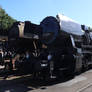 VSM 1, 52 8010-2 and 52 3879
