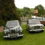 Wolseley 15 50 and Van Den plas 1100