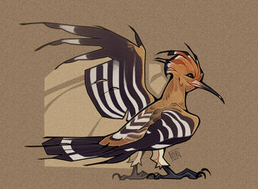 Abstract Hoopoe Explore the Best Hoopoe Art | DeviantArt