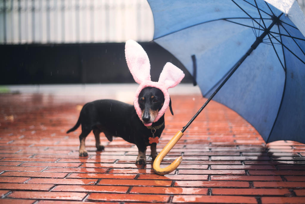 Typical spring weather by nichohley on DeviantArt