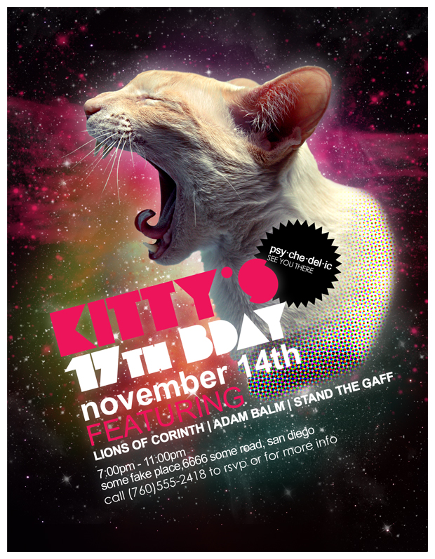 Flyer: Kitty's 17th B-Day