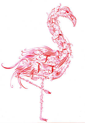 Flamingo caligrafico