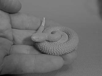 WIP 5 Pin-up Detail- Rattlesnake