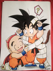 Goku and Krillin