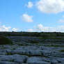 Limestone Field 1