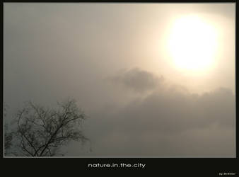 natureinthecity