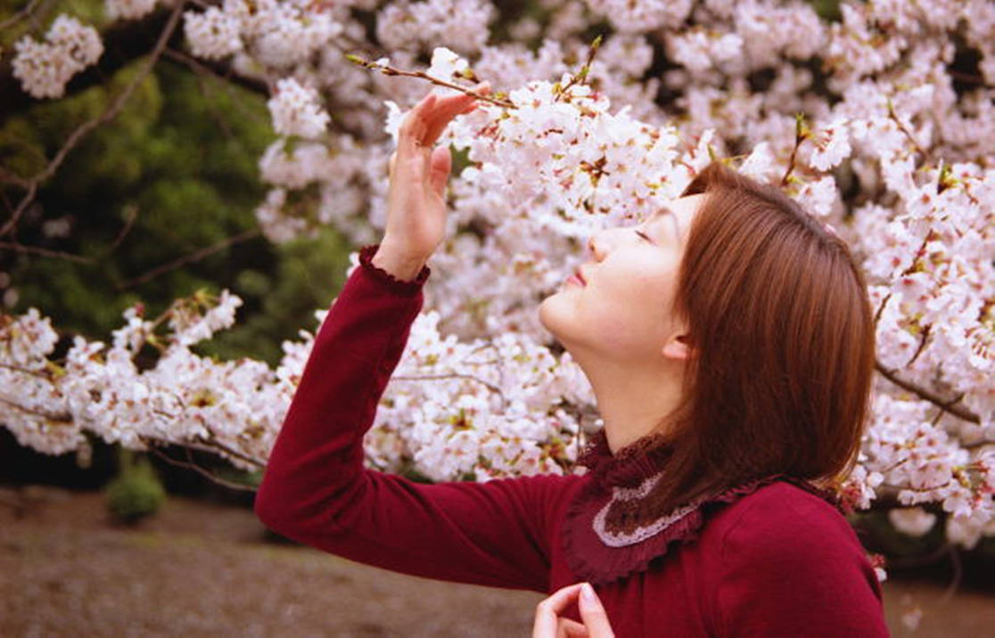 Chiaki Inaba - Eiichiro Oda's wife - Model/Actress by ...