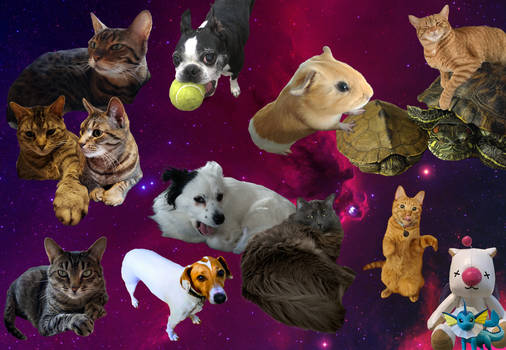 Space Pets (TM)