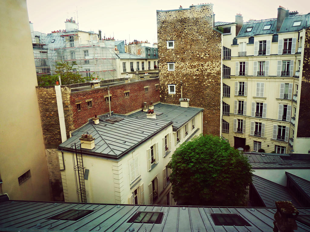 Paris Rooftops