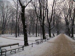 Krakow park