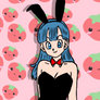 bulma gift :3