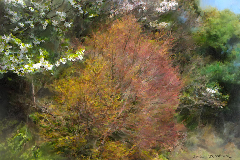 Rainbow-Tree by CraftyOdysseus on DeviantArt