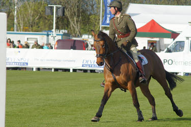 Horse Stock - Show jumping 8