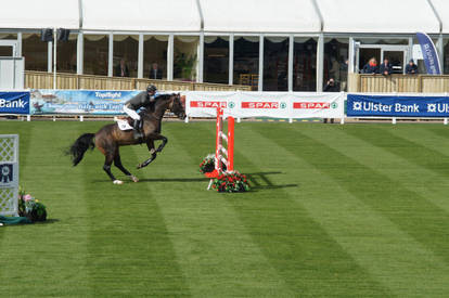 Showjumping stock