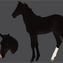 KWPN Foal  Auction 2 - closed