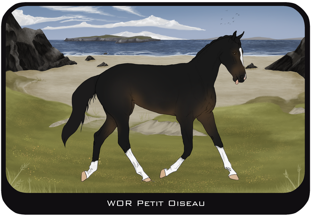 WoR Petit Oiseau
