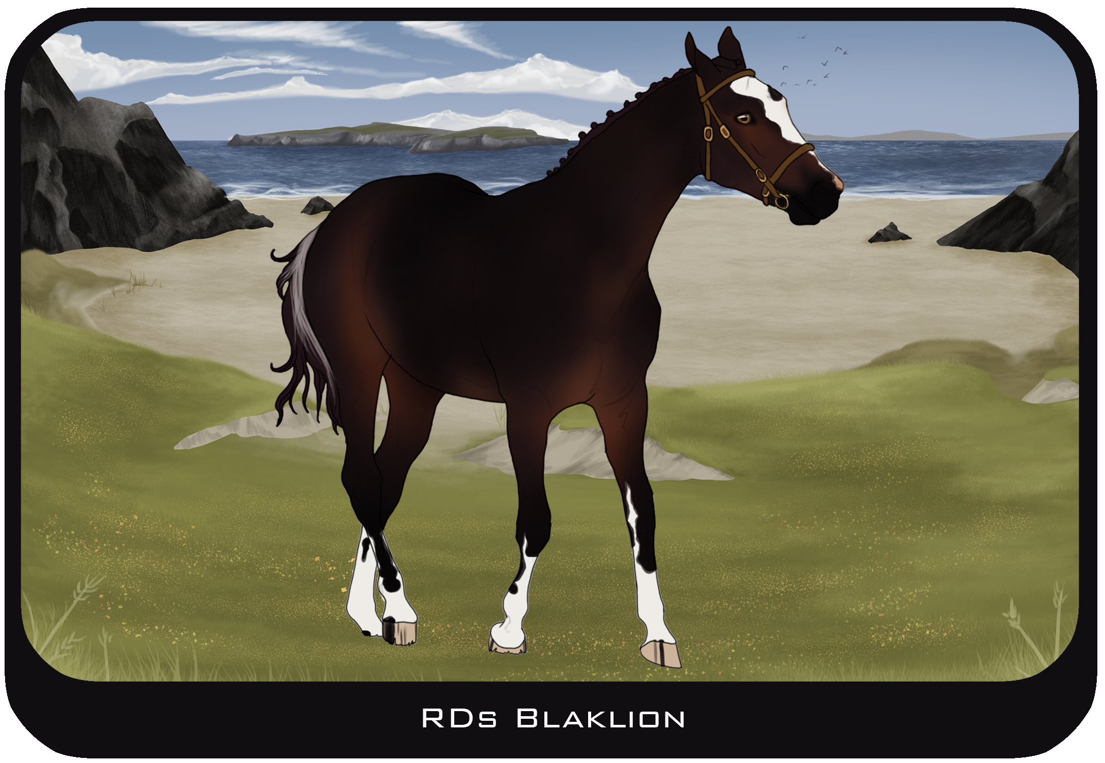 RDs Blaklion