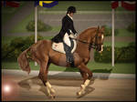 Dressage by Lone-Onyx-Stardust