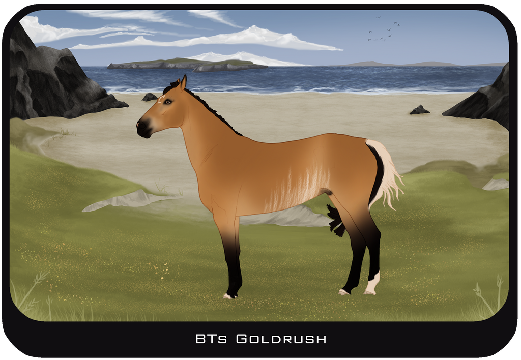 BTs Goldrush