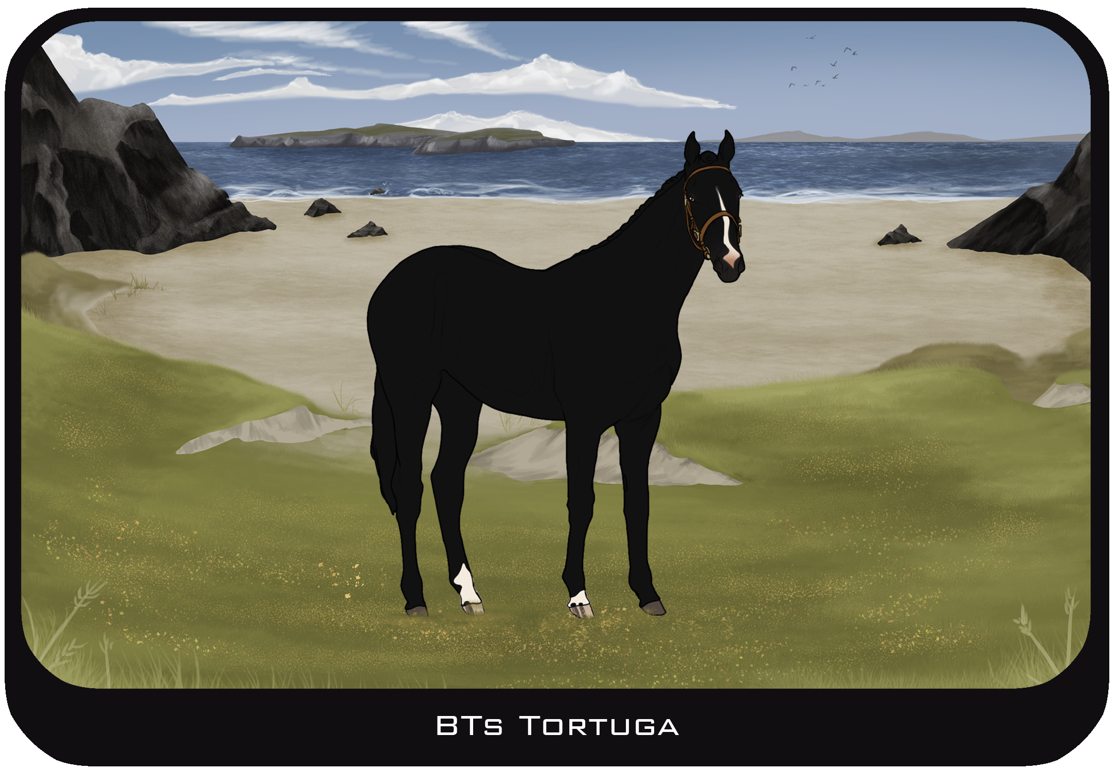 BTs Tortuga