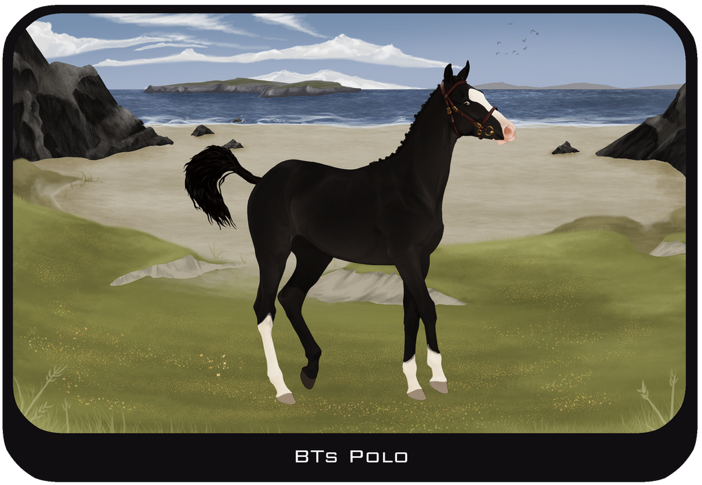 BTs Polo