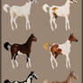 Closed Yearling Adopts - Paints