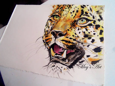 Leopard ink drawing