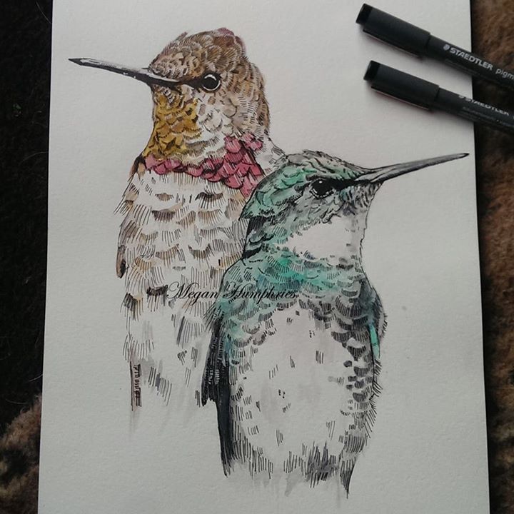 Hummingbirds