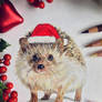 Santa Hedgehog ^_^
