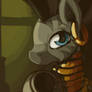 one more zecora